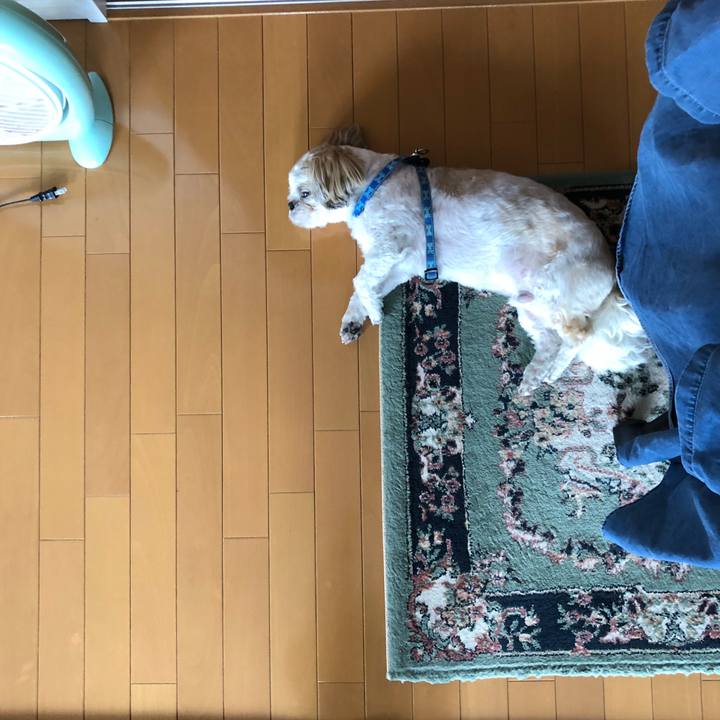 23cb6184 8f84 424c be14 9fd9b5f27c12 1528927942151