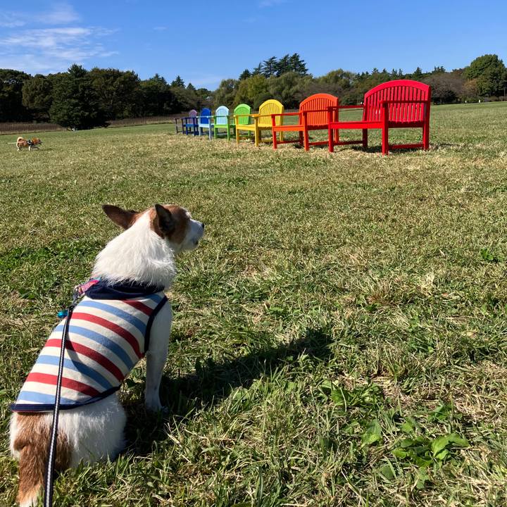 23cb6c74 2b15 43cc b968 fb7a3aa53c98 1697066451744