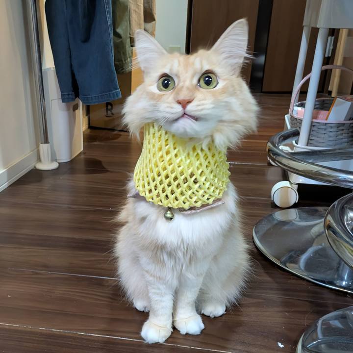 23cb82f5 ea2a 4124 b767 eaee19dce520 1732531949428