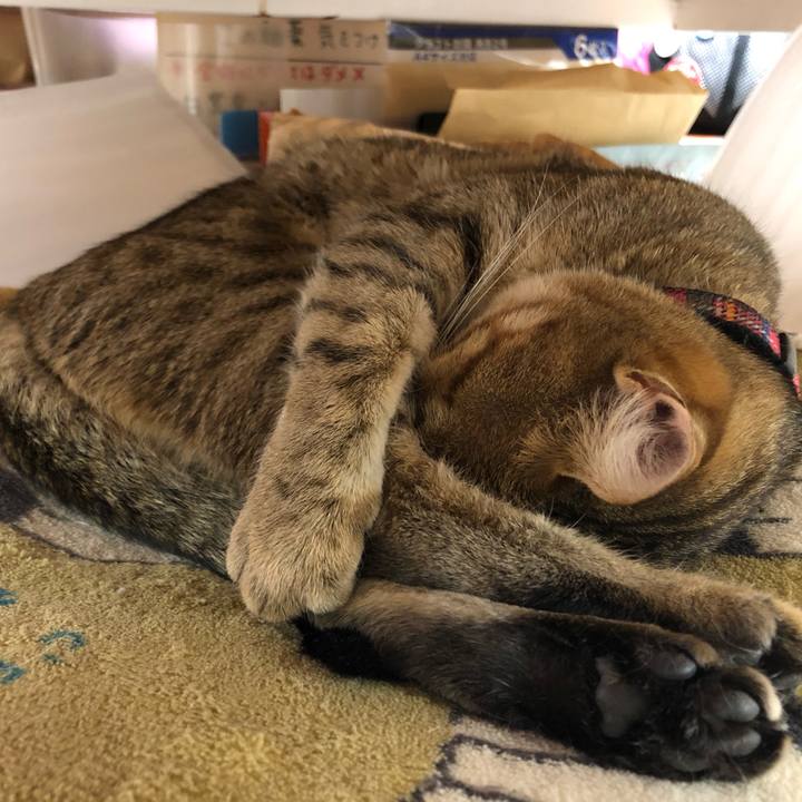 23cb8b11 75e0 49fd bea5 61b6f8feab7a 1612426626014