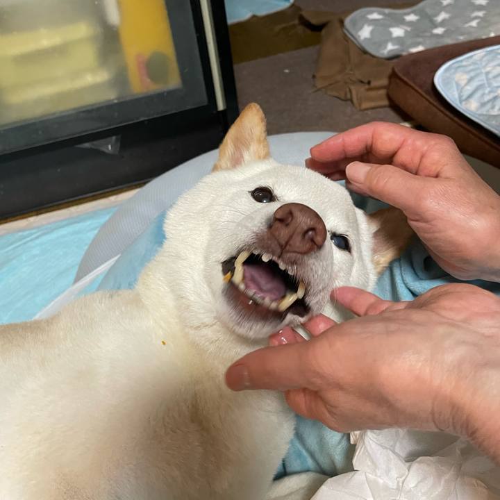 23cb903e 4012 41e1 866f 5d58bea28072 1652883513565