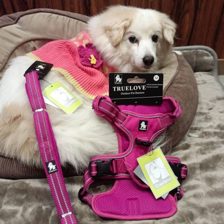 23cbe43a bcc6 4959 9d60 1db963e567ec 1706522077457