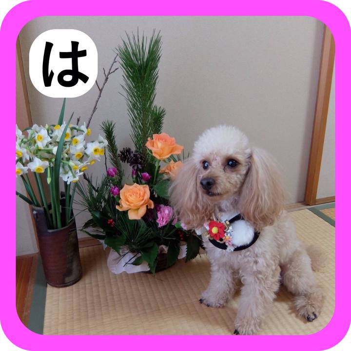 23cbf398 ab7c 4359 84bb 228f4fe8f6dd 1514796423572