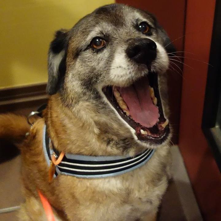 23cbf7e9 ca38 4398 b181 3bb0ac181e49 1522495385337