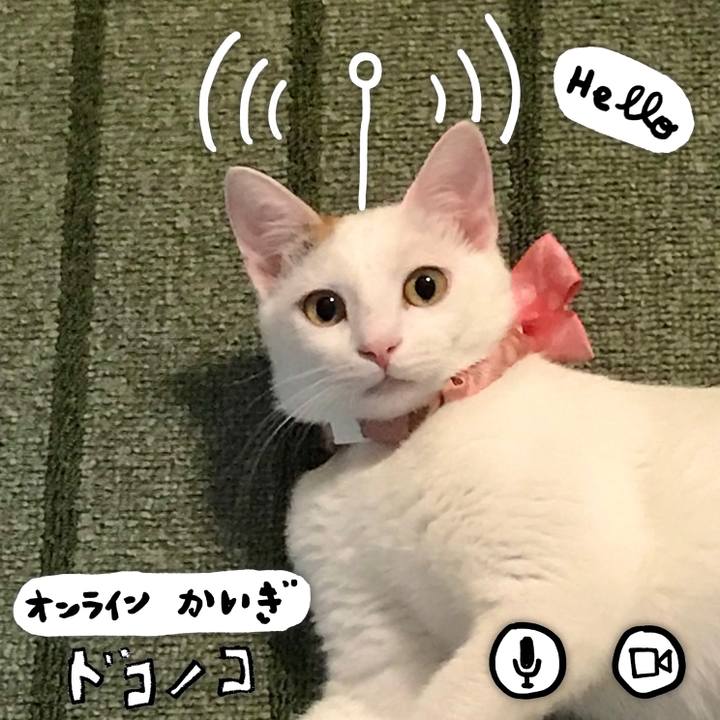 23cc2811 b8b8 44b0 91dd 9213511a30da 1590882965433