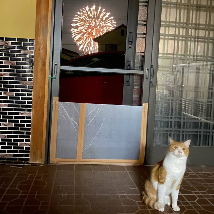 23cc2e94 06fe 491c acdb 0010f84fc12d 1658578145255