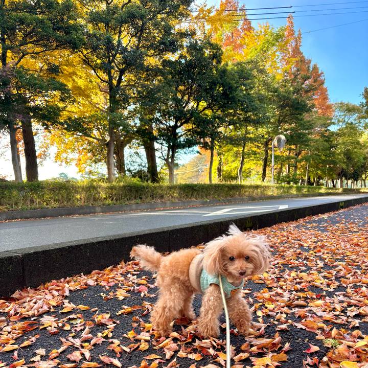 23cc378a 55c0 45ea ba80 707b069f5622 1764148589092