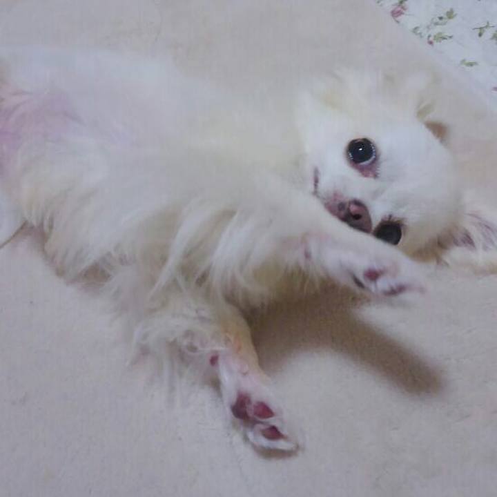 23cc667d a4e4 495d a490 dbed413b02a9 1530709341570