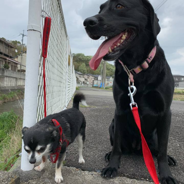 23cc75ed 1fde 4211 b536 6e987bf61c73 1587259255914