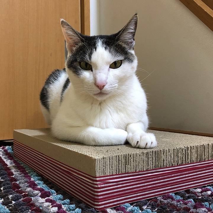 23cc7a24 e871 4718 aa9b fa18ba89b566 1649503938053