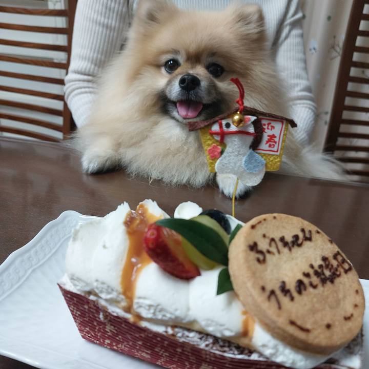 23cced71 b628 49e5 afb1 fa54ab895aff 1767783364413