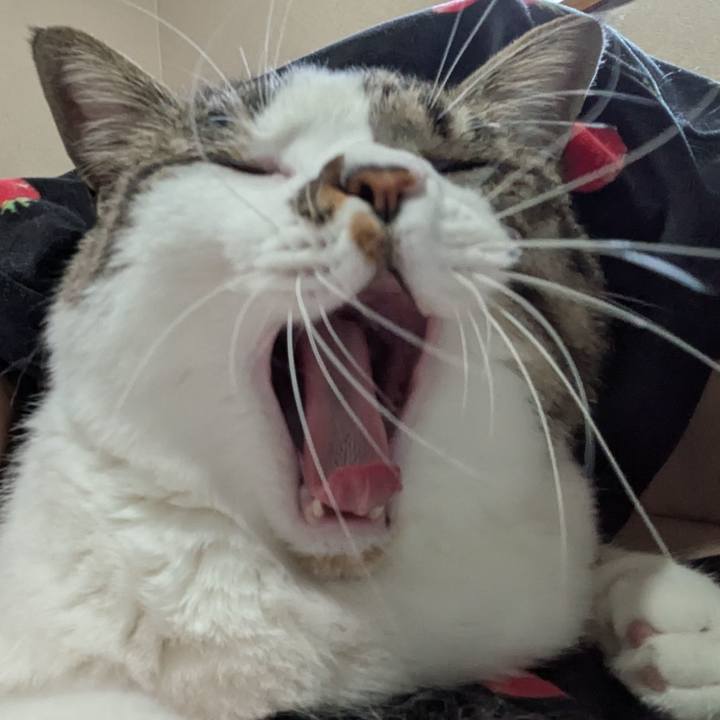 23cd179c ae9f 4441 b86c 7e782aac7b10 1747278747970