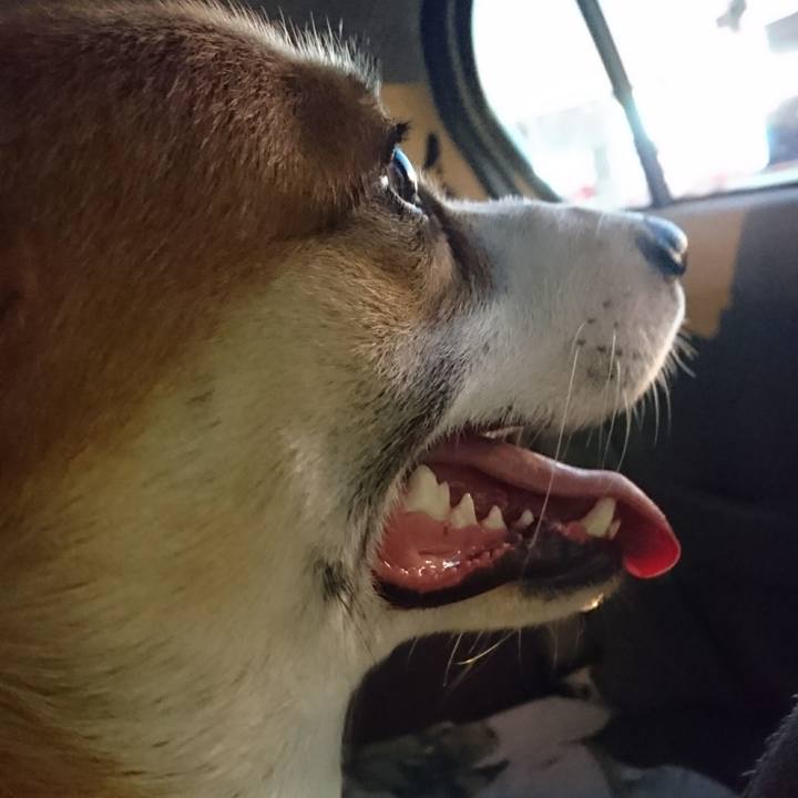 23cd2af5 fb47 4675 9996 5b50d2e97d70 1573546685052