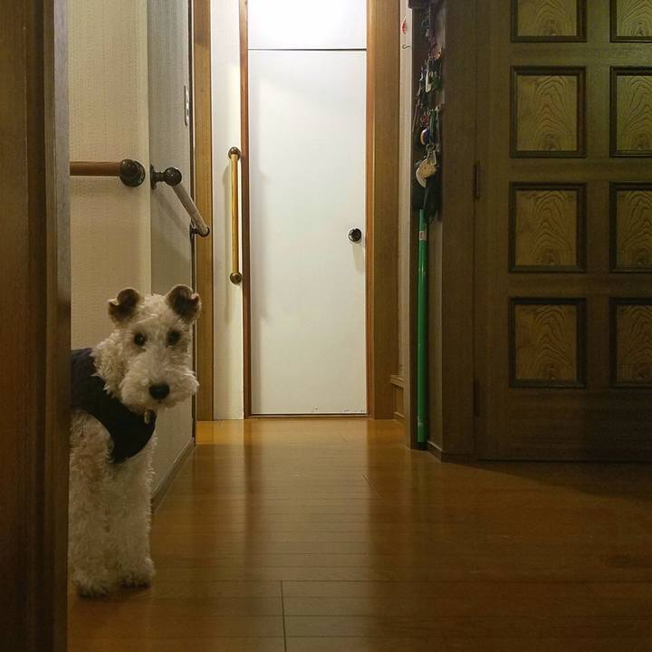 23cd2bcc 7d0b 4224 a0a5 cb3e01f5ee29 1557933602287