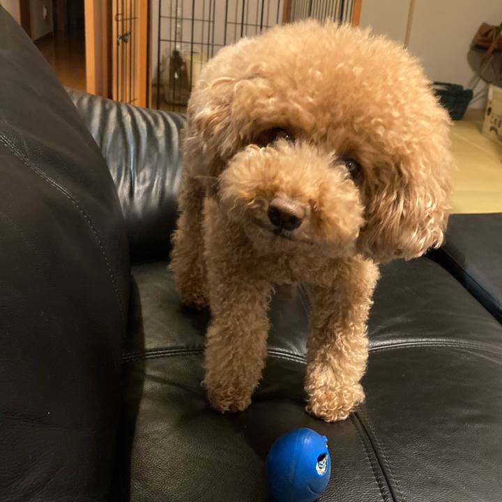 23cd318d 6e34 4c9d a7ae 61880768cd26 1623855341901