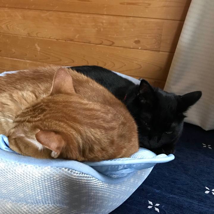 23cd4428 0769 4c83 adce 91944024d467 1558930039159