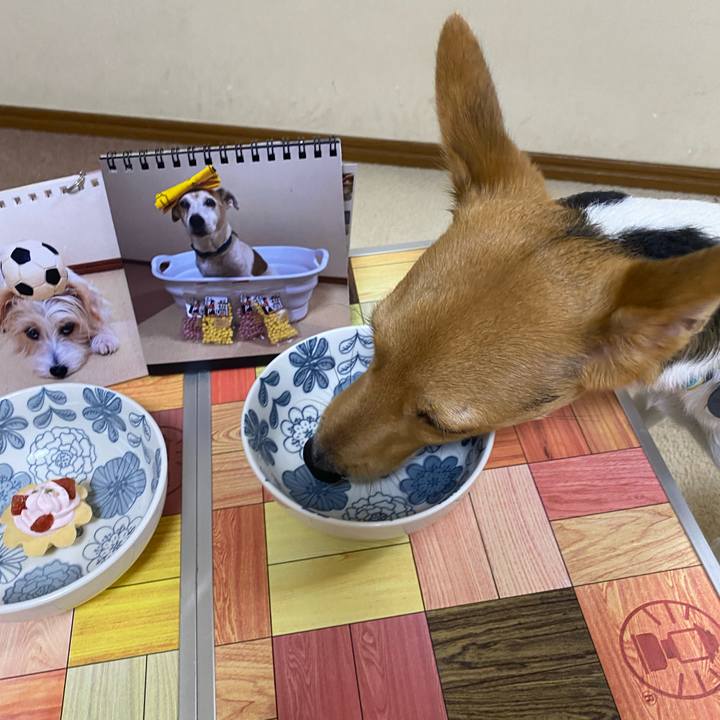 23cd685e 3e2d 4779 bead 0efaac6cebd9 1759534667260