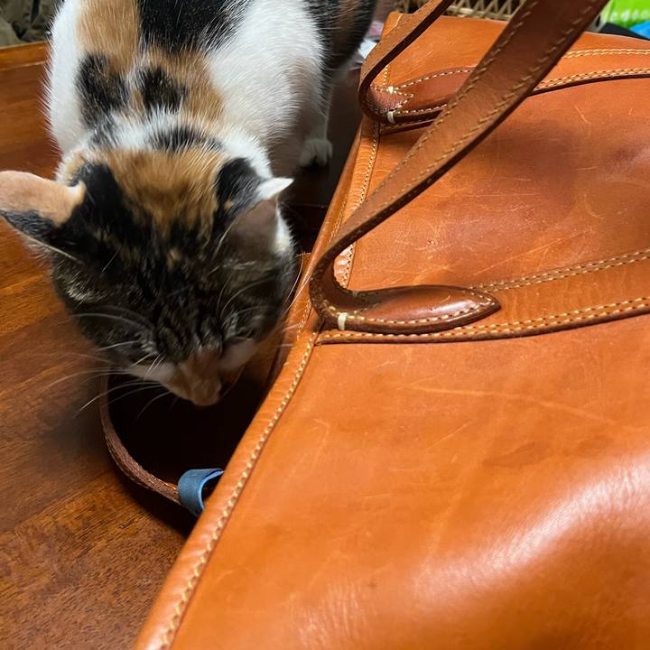 23cd754f df7b 474e b6ff b8a8f1ea7e8b 1769281814886