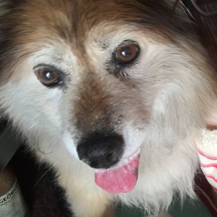 23cd8818 41e5 4095 a1ad 14453110fdc1 1615232753969