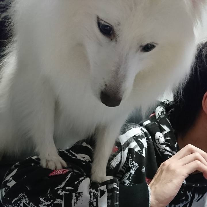 23cdb90b 35ce 4953 8f08 f6636dbad0aa 1587297917116