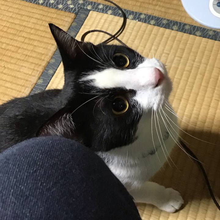 23cdd422 8c31 49e6 94a1 8d48bd8d8fc0 1662460177366