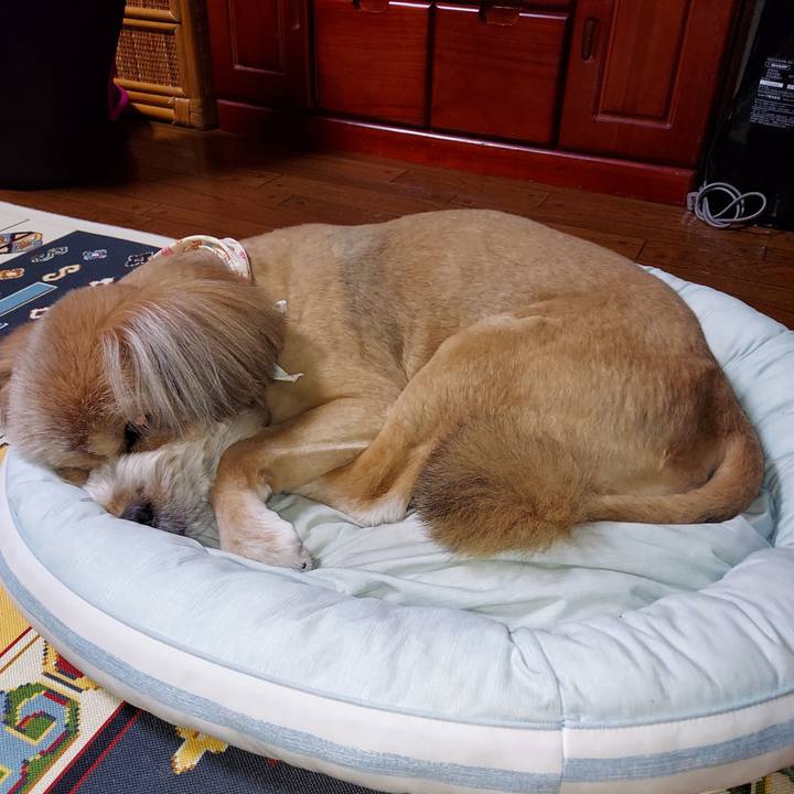 23cdf321 c745 4276 8a8f 097b73fe3899 1628423527216