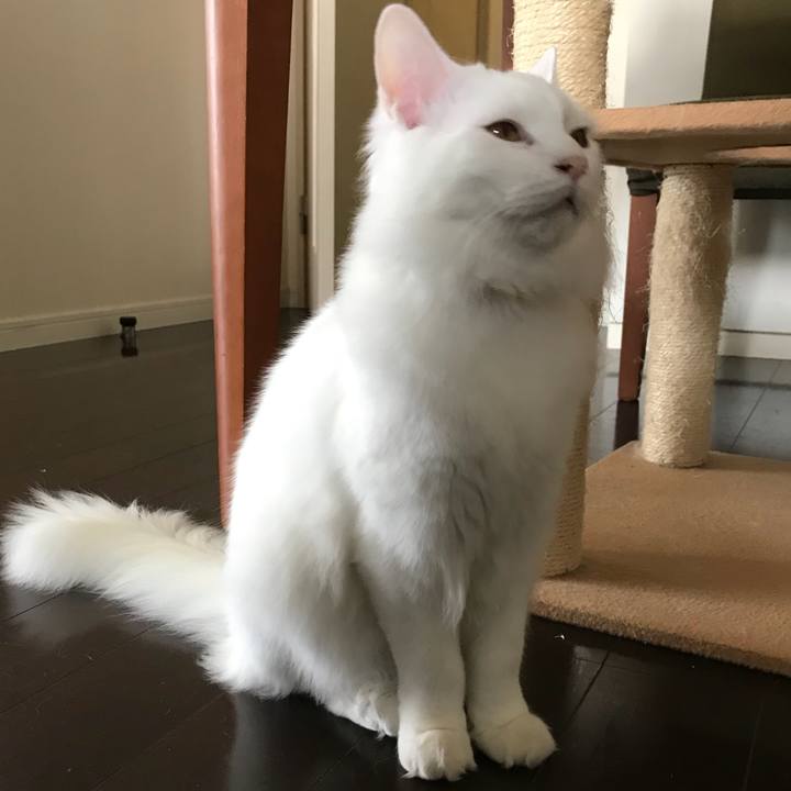 23ce1b5e e9a3 4adf 91c1 6ff294656c77 1520827453484