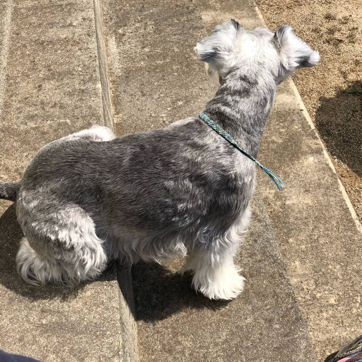 23ce2b1c 35fb 40a3 901f 436441d71f15 1584841438816