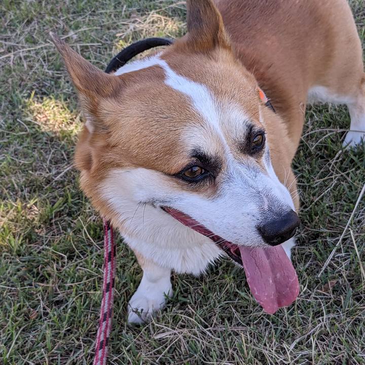 23ce2f58 762e 4691 b726 f15e749d9f88 1698151928824