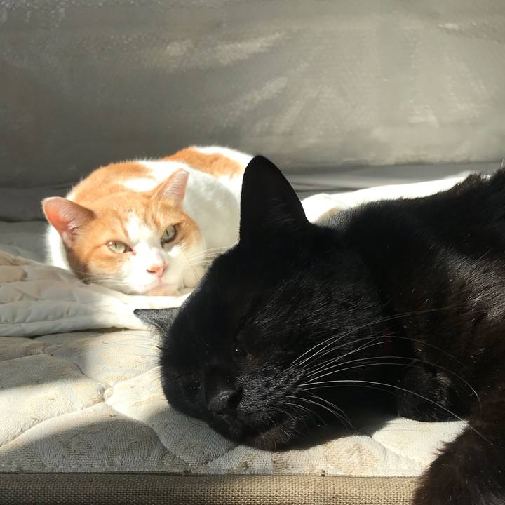 23ce81bc c5f5 4810 ac0a 7a5a5b35abc5 1548940596214