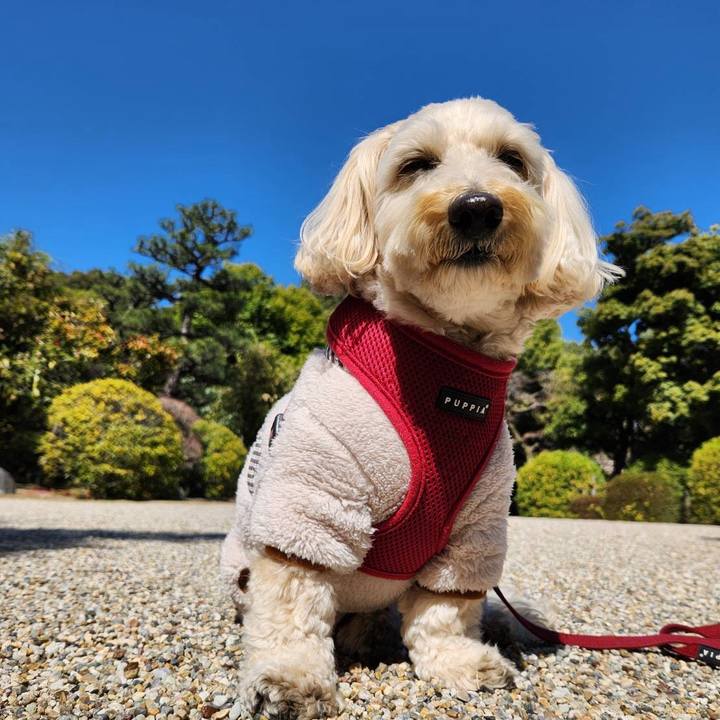 23ce8e4b 30d2 4dc6 aeec 30c0e8753b0c 1773210531054