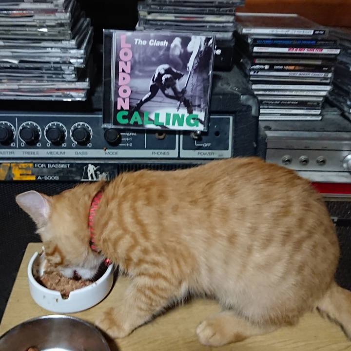 23ce9963 5c95 4df1 bd1c 672309f76367 1632830933576