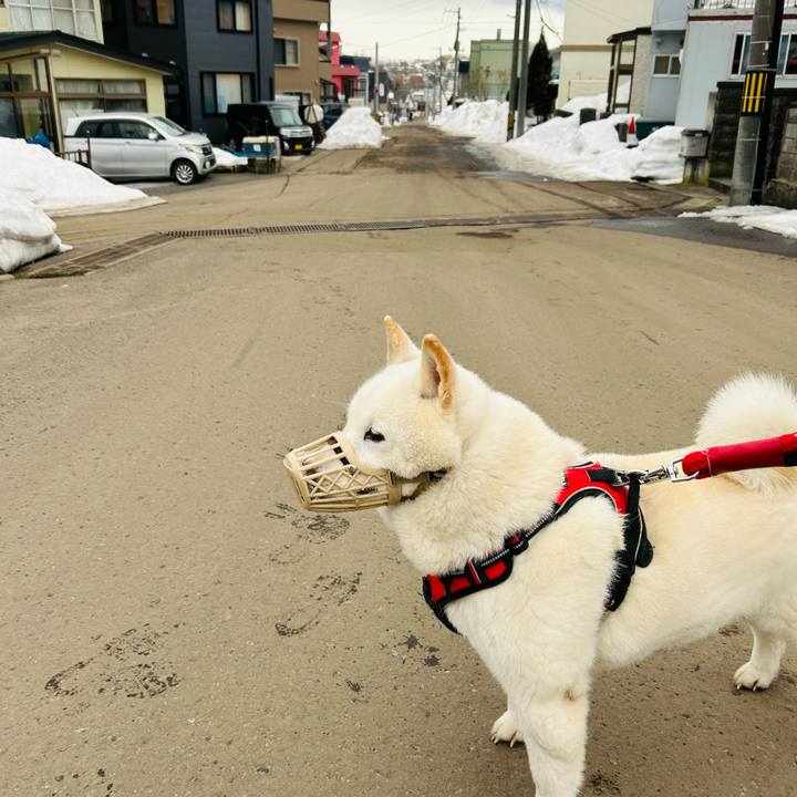 23cecf1c 6843 4549 832e e10a5e8a3607 1711665172029