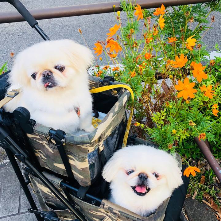 23cf1268 9a3d 4188 87c2 ebc8d0edad23 1598743388334