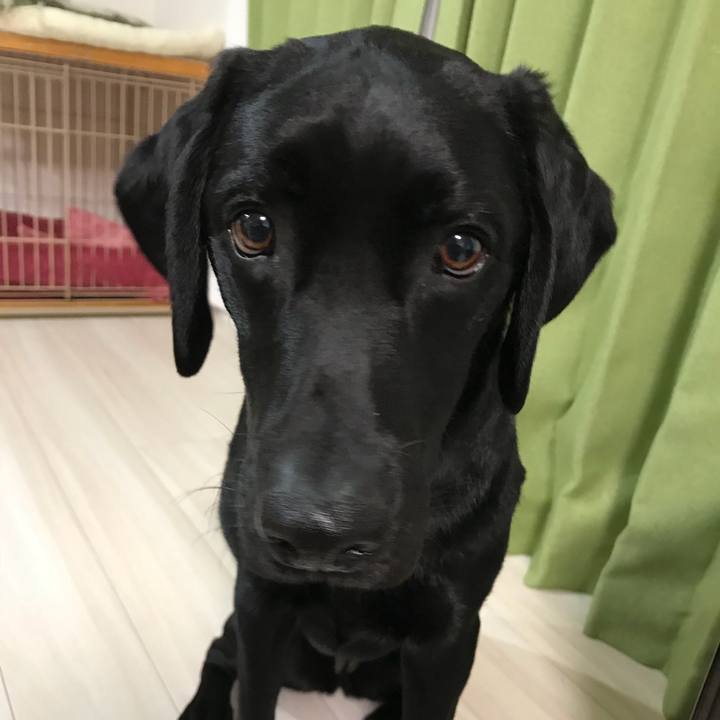 23cf15fe 71a2 421a b9be 6eaae458b696 1520292894430