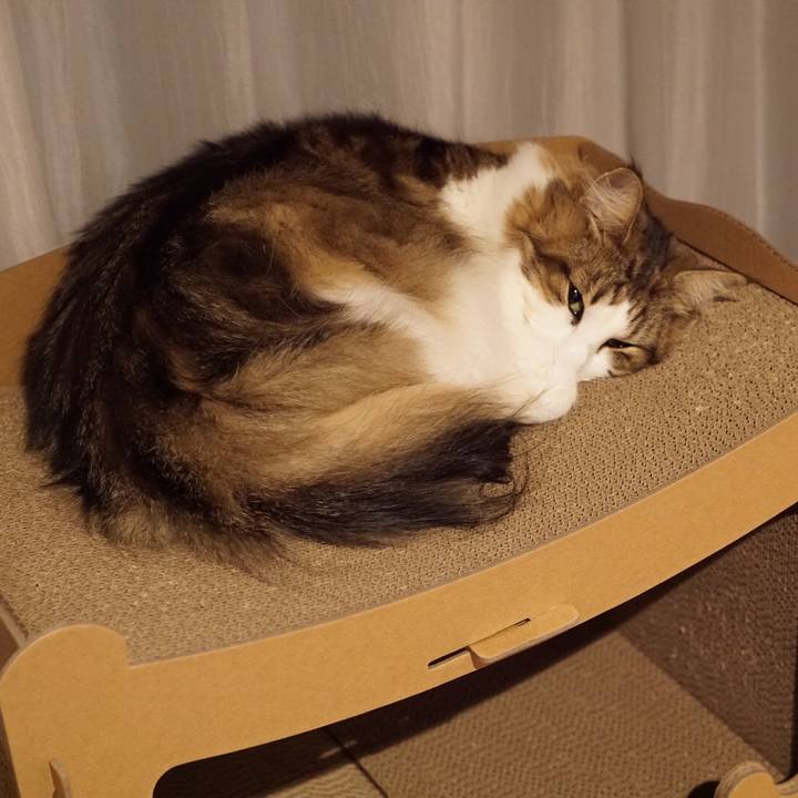 23cf17da e6a8 40b4 a1fe 82d74ae376ad 1571843138348