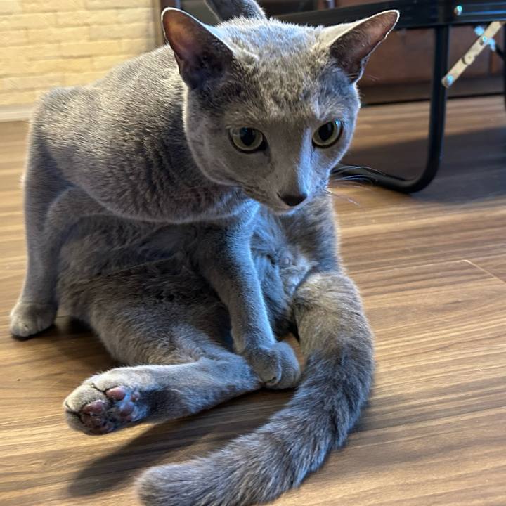 23cf89ca ef4b 4536 8913 d60ab593b165 1736723179723