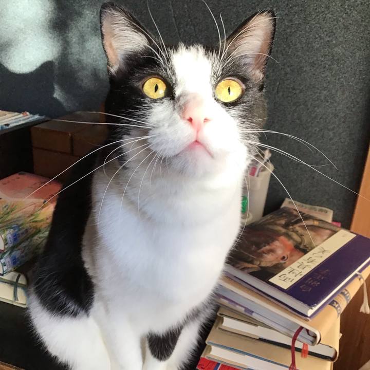 23cfaef9 19ff 4c75 8c4a 4721314f6265 1734995977900