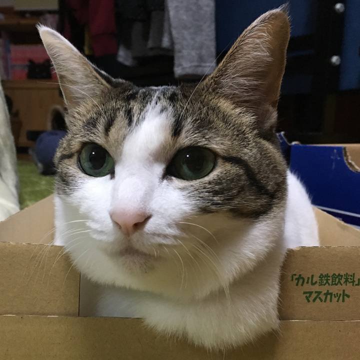 23cfb16e cd5c 4bc0 b395 3e23ac8c6af4 1541255508857