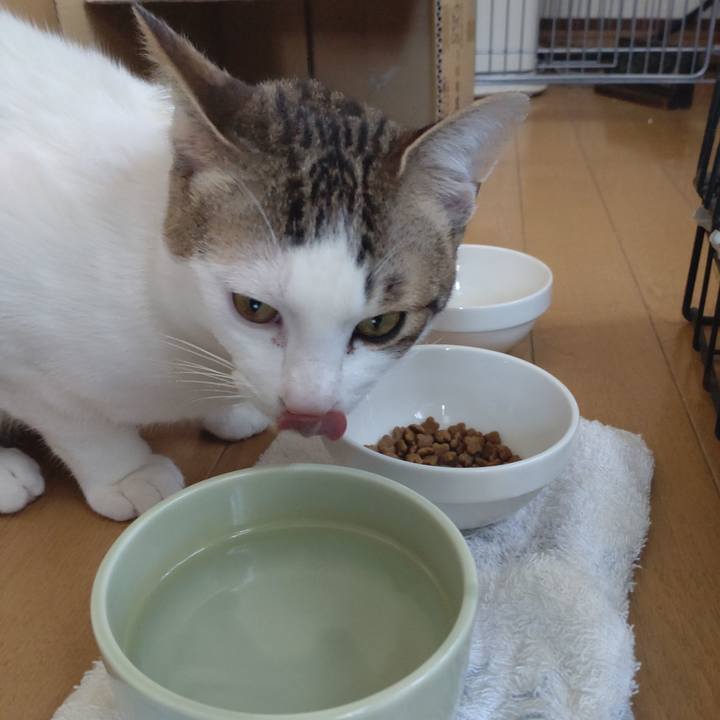 23cfebca 3dae 40b7 b53b 5595c3ba51ef 1651285352551