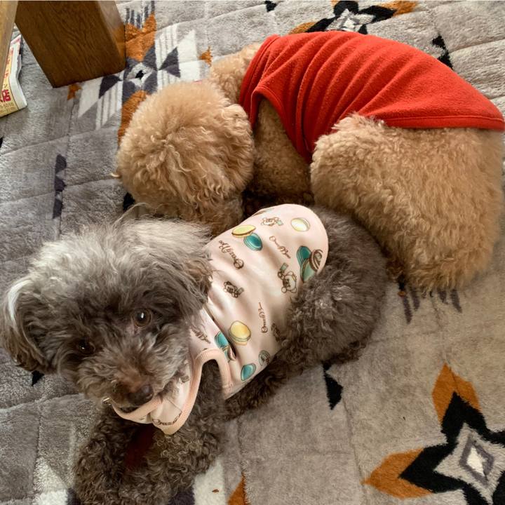 23d02508 7304 4bbe 9221 a4b95a59d272 1611097972159