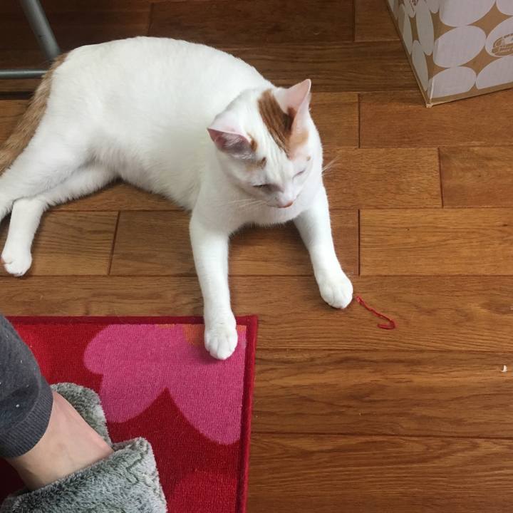 23d06a56 005b 46b9 a0ef cb9c8446c7ec 1523396955059