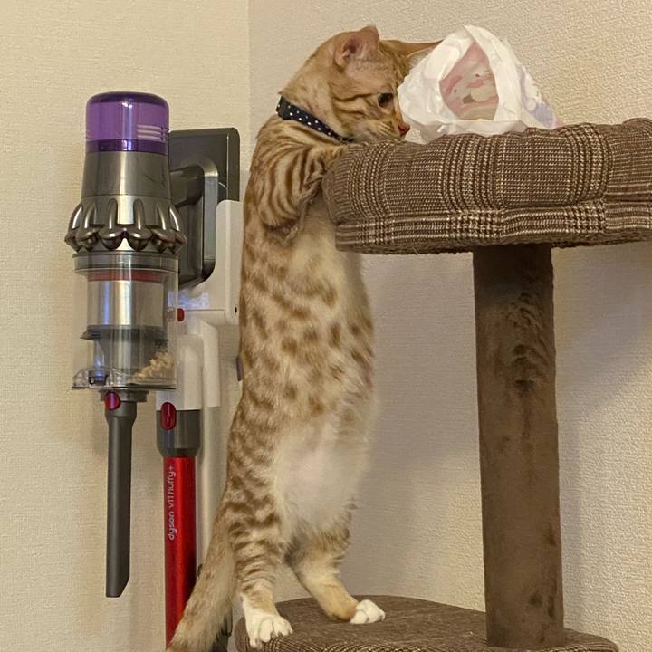 23d06ace 8524 4d36 bcb1 95c2440d0d81 1598616006094