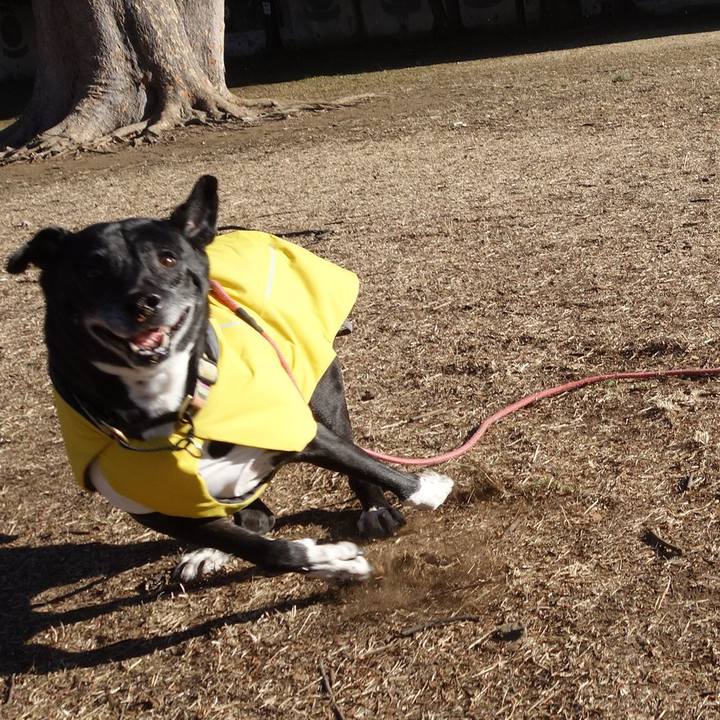 23d0a6ee 453a 4439 bc9b 1d10e46ccc2c 1739924897590