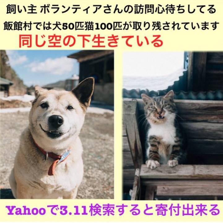 23d0be1d 159e 4ef4 909a c95c8aaa19b6 1520762926636