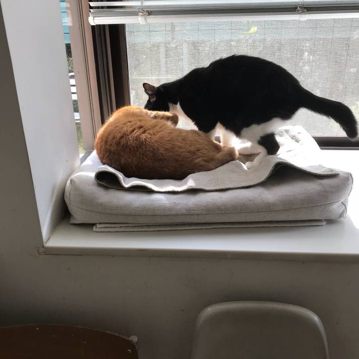 23d0fa02 41c8 429d ad79 871378da1f37 1511334337090