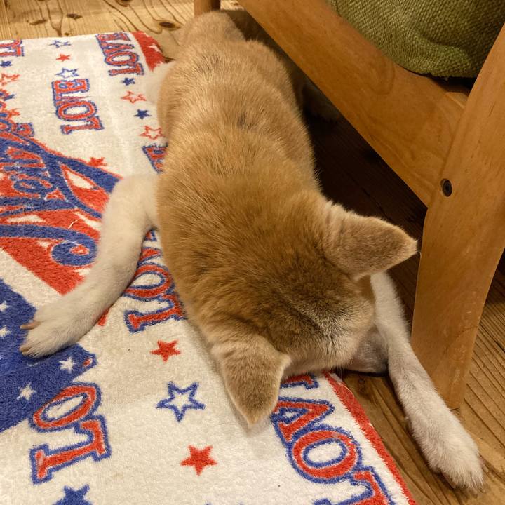 23d0fa3b a91e 4da8 a7b8 7954ff6c98b1 1598090303000