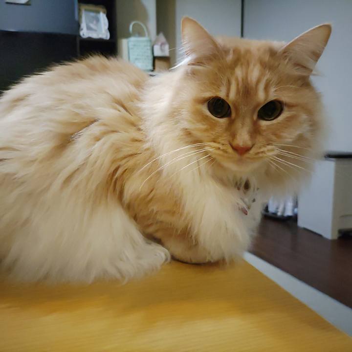 23d1045f 9a45 4b38 a45b cb1ed338c629 1709645351408