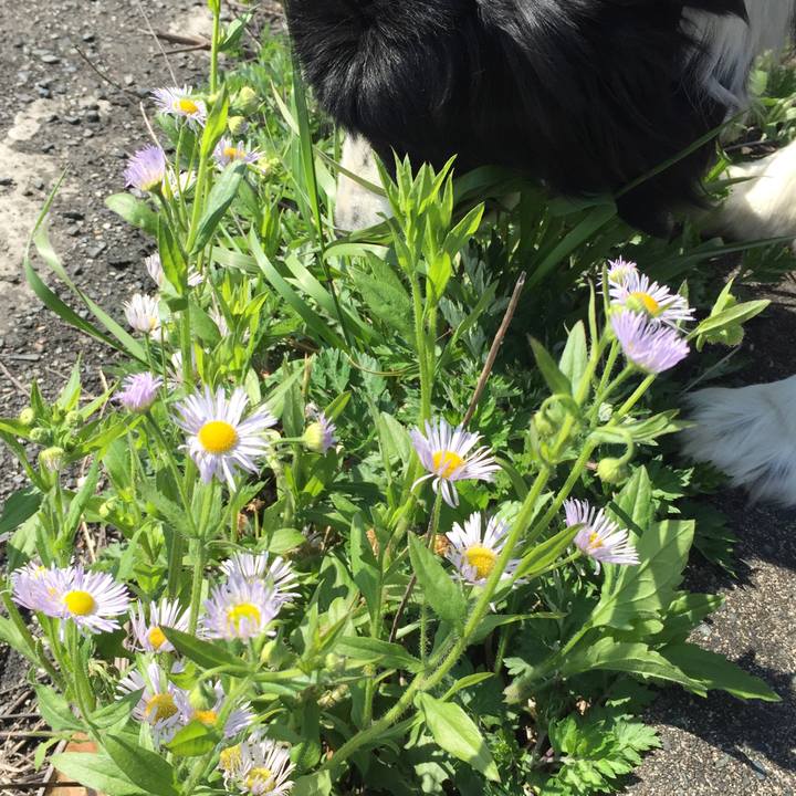 23d1120b 5699 4bdf a3c3 d88a940c9189 1586826156263