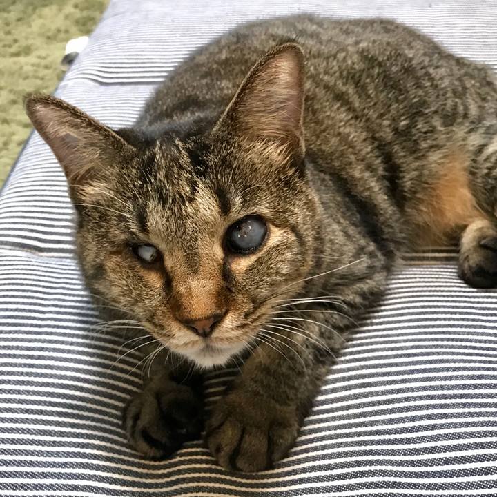 23d113ae 1b84 4568 a7a5 0b02abc0d257 1600781166420